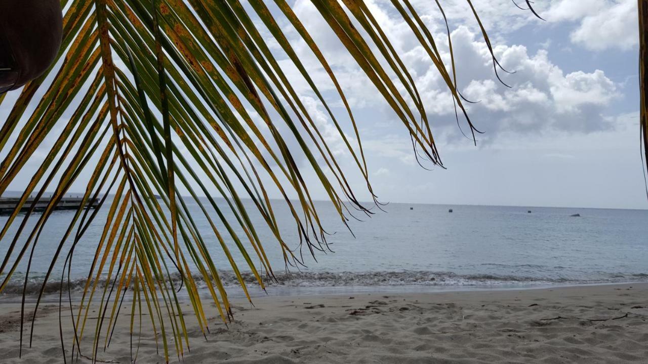 Apartament La Yole Des Caraibes Les Anses-d'Arlet Zewnętrze zdjęcie